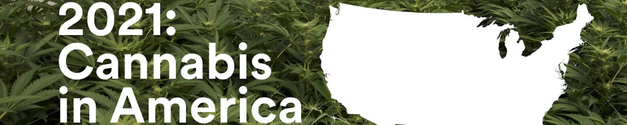 Cannabis in America